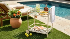 A styled bar cart and plants beside a sunny outdoor pool